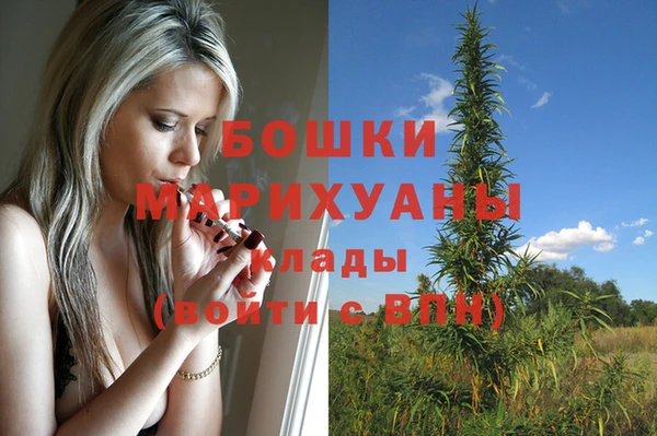 прущий лед Абаза