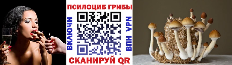 Галлюциногенные грибы MAGIC MUSHROOMS  Касли 